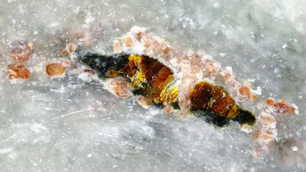 พบ “หยก” ชนิดใหม่ของญี่ปุ่น อาจแก้ปริศนาการถือกำเนิดแร่