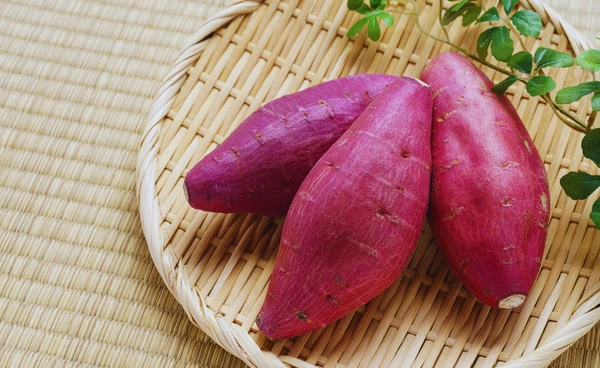 วิจัยพบ มันสีม่วง มีสารที่ออกฤทธิ์ยับยั้งเซลล์มะเร็งลำไส้ใหญ่ได้