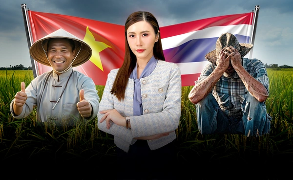 เวียดนาม แซงหน้า ไทย ส่งออก "ข้าว" ขึ้นเบอร์ 2 ของโลก 