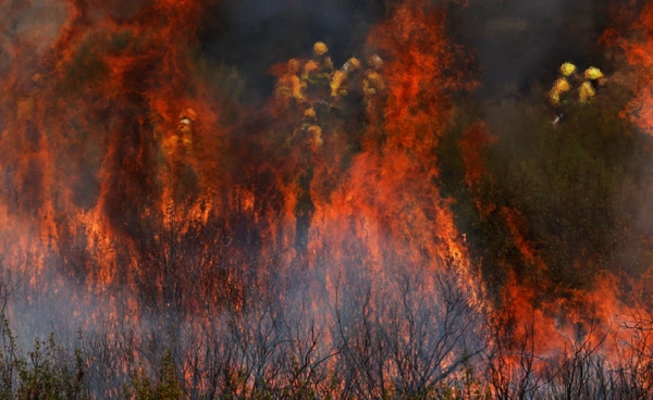 วิกฤตไฟป่า “สเปน”  รุนแรงที่สุดในรอบ 20 ปี ผลาญไปแล้วกว่า 7 แสนไร่!