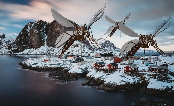 พบ "ยุง" ครั้งแรก ใกล้เมืองหลวงไอซ์แลนด์