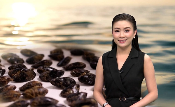 ความลับใน “หอยแมลงภู่” ชี้วิกฤตไมโครพลาสติกลุกลามทั่วโลก