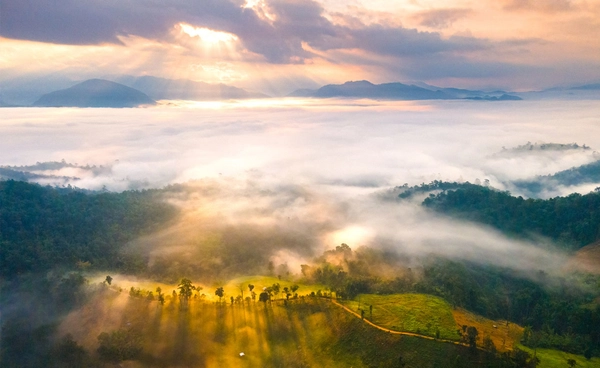 ฤดูหนาว 2568 กรมอุตุฯ คาดเริ่มช่วงปลายเดือนตุลาคม อุณหภูมิต่ำสุด 7-8 องศาฯ