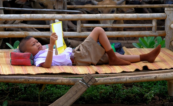 ทุนเสมอภาค หรือ ยาแก้เฉพาะหน้า? เมื่อภาระทางการศึกษาเกี่ยวพันกับหนี้ครัวเรือน 