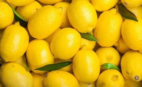 โลกร้อนเผาเลมอนตุรกี ผลผลิตตายยกสวน