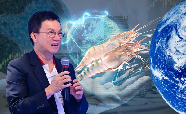 กุ้งไทยชิงส่วนแบ่งตลาดโลก ผลภาษีทรัมป์ 