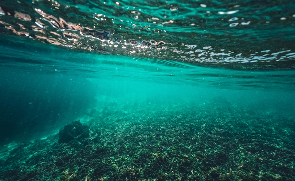 นักวิทย์ฯอึ้ง “ก๊าซมีเทน” รั่ว ใต้ทะเลแอนตาร์กติกา เตือนอาจเร่งโลกร้อนเร็วกว่าคาด