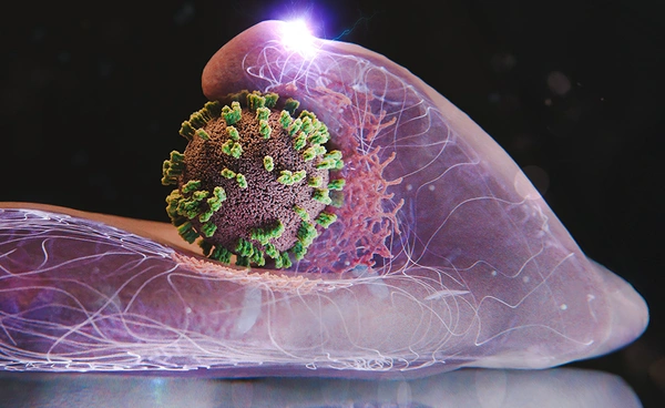 นักวิจัยใช้กล้องจุลทรรศน์ใหม่เผยวิธีที่ไวรัสไข้หวัดใหญ่บุกรุกเซลล์มนุษย์ได้แบบเรียลไทม์