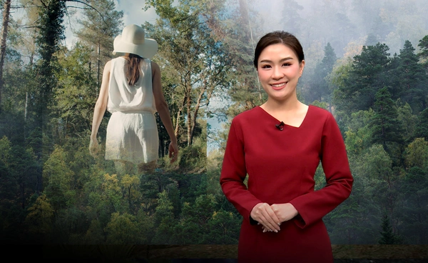 “การอาบป่า” ศาสตร์จากญี่ปุ่น เยียวยากายใจด้วยพลังธรรมชาติ