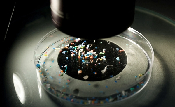 วิกฤต “ไมโครพลาสติก”   โลกร้อนทำพิษ อันตรายกระจายทั่วโลก