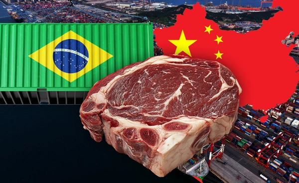 ยอดส่งออกเนื้อวัว"บราซิล"ไปจีนเพิ่มร้อยละ  38