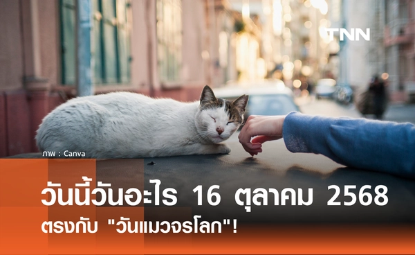 วันนี้วันอะไร วันที่ 16 ตุลาคม 2568 วันแมวจรโลก