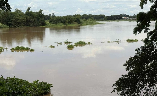 เตือน! "แม่น้ำเจ้าพระยา" เพิ่มสูงขึ้น ให้ 3 อำเภอ จ.ชัยนาท ยกของขึ้นที่สูง