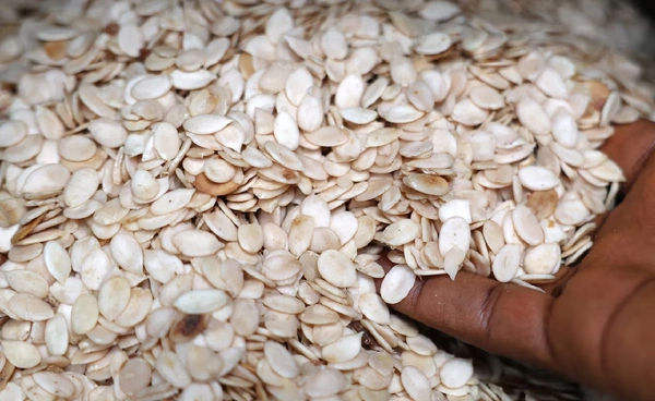 เอกูซี…จากหม้อซุปไนจีเรีย  สู่ความหวังอาหารนักบินอวกาศ