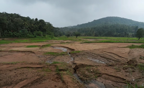 “ศรีลังกา” เหยื่อโลกร้อน พายุเพียงลูกเดียว ทำลายผืนนา 3 ล้านไร่