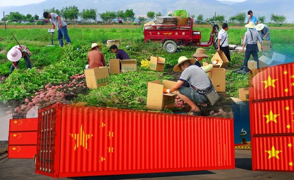 จีนเก็บภาษีสินค้าเกษตรตอบโต้แคนาดา