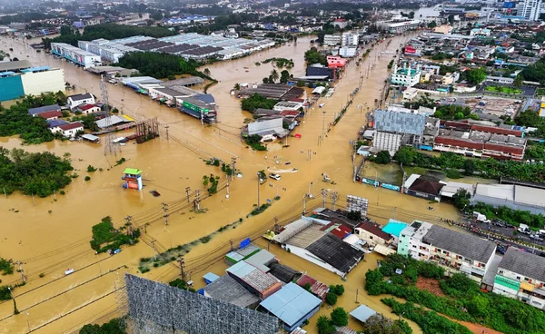 ลุ้นฝนลด 26 พ.ย. นี้  “ดร.เสรี”  ชี้น้ำท่วมระบายช้า เหตุน้ำทะเลหนุนถึง 29 พ.ย.