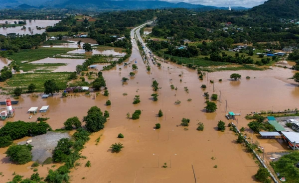 สาเหตุน้ำท่วมหนักภาคเหนือ ป่าไม้ถูกทำลายหรือแค่ฝนตกเยอะ?