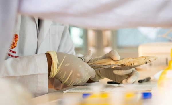 พบสารหนูเกินค่ามาตรฐานในขนมสัตว์เลี้ยงฉลามอบแห้ง เสี่ยงโรคตับ–ไตระยะยาว