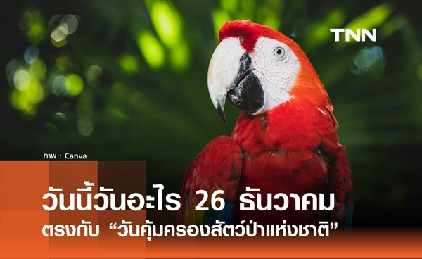 วันนี้วันอะไร วันที่ 26 ธันวาคม 2568 วันคุ้มครองสัตว์ป่าแห่งชาติ