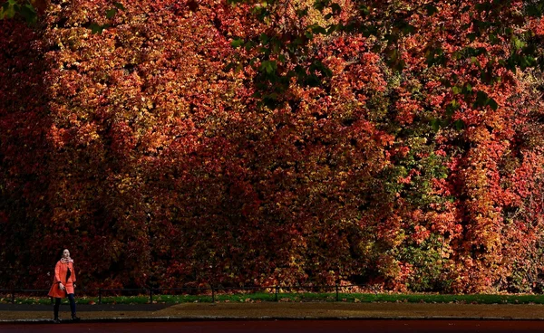 สหรัฐฯ ร้อนขึ้นทุกปี คาด “ฤดูใบไม้ร่วง” จะไม่เหมือนเดิมอีกต่อไป