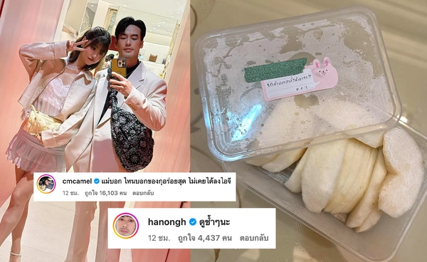 กำลังใจดีๆ "บอย ปกรณ์" โพสต์ภาพสาลี่ที่ "เฟย์ พรปวีณ์" 