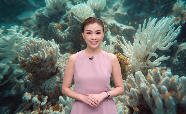 “เกรตแบร์ริเออร์รีฟ” ฟอกขาวรุนแรงที่สุดในรอบ 40 ปี