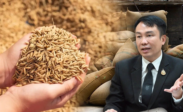 "สหกรณ์"เปิดจุดรับซื้อข้าวทั่วไทย 4ล้านตัน