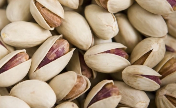 ฤดูหนาวอุ่นเกินไป ทำ “พิสตาชิโอ” ใกล้สูญพันธุ์