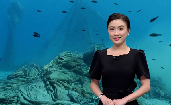 วิกฤตอวนผีใต้ทะเล เหตุทำสัตว์ทะเลตายจำนวนมาก