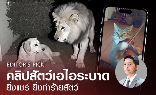 คลิปสัตว์เอไอระบาด ยิ่งแชร์ ยิ่งทำร้ายสัตว์