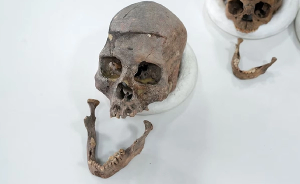 พบเชื้อสายมนุษย์ปริศนา สูญพันธุ์ไร้ร่องรอยกว่า 6,000 ปี