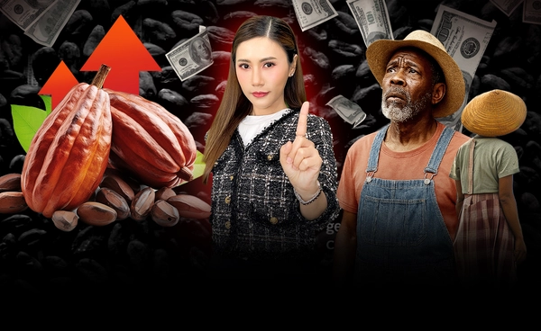 โกโก้ แพงไม่หยุด 3 ปี ราคาพุ่ง 230% ขึ้นแท่นสินค้าฟุ่มเฟือย