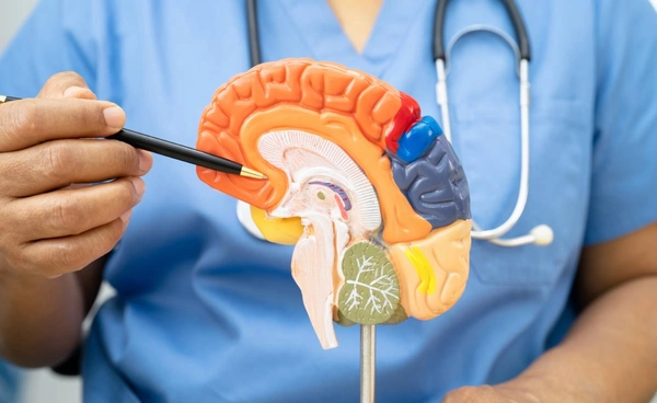 รู้จัก“โรคฮันติงตัน” โรคทางกรรมพันธุ์ จากความเสื่อมของระบบประสาท 