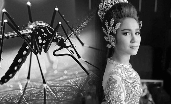 โรคเดิม อันตรายใหม่ ทำไม? ไข้เลือดออกในไทยยังน่ากลัวในปี 2568