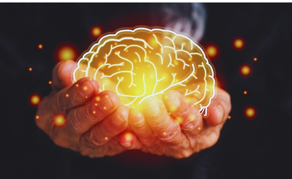 องค์การอนามัยโลก รายงาน โรคทางระบบประสาทคร่า 11 ล้านชีวิตทั่วโลก 