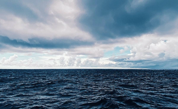 สรุปผลประชุมมหาสมุทรโลก เร่งอนุรักษ์ทะเล ยุติเหมืองลึก และผลักดันสนธิสัญญาพลาสติก