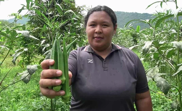 "อาชีพทำเงิน"สาวสตูลทำเกษตร สร้างรายได้หลักแสนต่อเดือน  | เรื่องดีดีทั่วไทย | 21-10-68