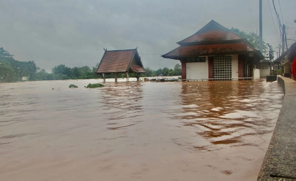 แม่น้ำยม-น่าน ล้นตลิ่ง ปภ.ประกาศอพยพด่วน เตือนปชช.ริมฝั่งยกของขึ้นที่สูง