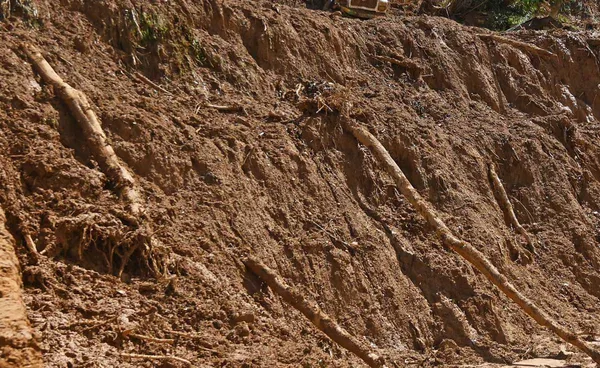 ตั้งวอร์รูมเฝ้าระวังแผ่นดินถล่มตลอด 24 ชั่วโมง รับมืออิทธิพล “พายุวิภา”