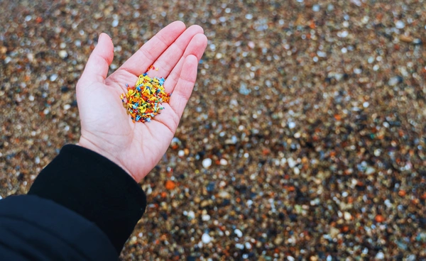 เมือกของกระเจี๊ยบเขียว ดักจับไมโครพลาสติกในน้ำได้ 90 เปอร์เซนต์