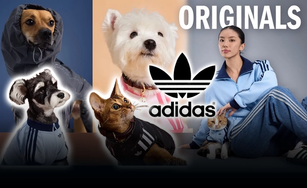 "Adidas" เปิดตัวแฟชันสัตว์เลี้ยงคอลเลกชันใหม่รับลมหนาว