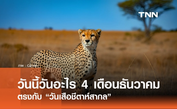 วันนี้วันอะไร วันที่ 4 ธันวาคม 2568 วันเสือชีตาห์สากล