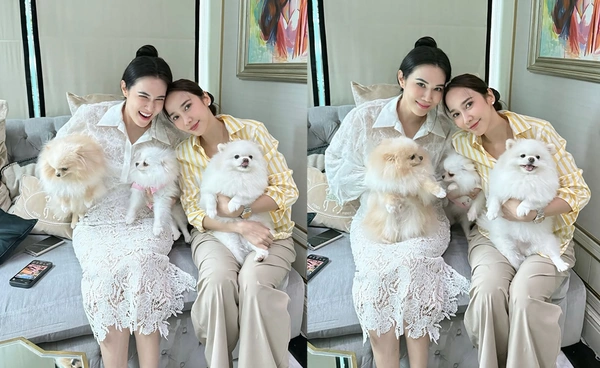 แฟนคลับส่งกำลังใจ "อั้ม พัชราภา" มีภาวะเศร้า หลังสูญเสียสุนัขสุดที่รัก