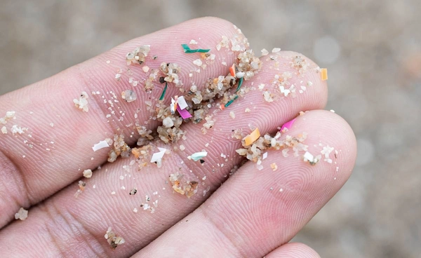 พบไมโครพลาสติกใน ระบบสืบพันธุ์ชายหญิง อาจทำให้คนมีลูกยากขึ้น