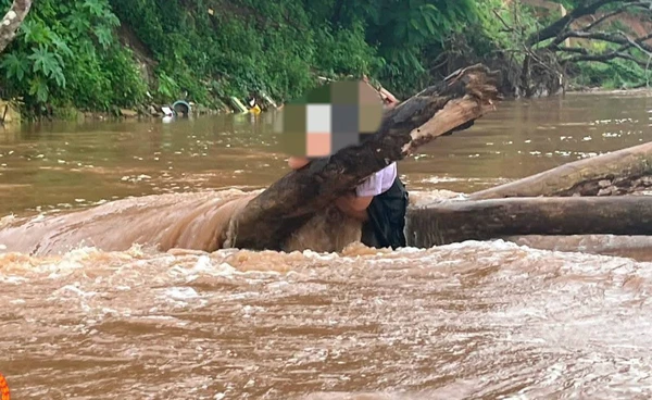 นาทีระทึก! ช่วยนักเรียนหญิงเกาะกิ่งไม้กลางแม่น้ำกก