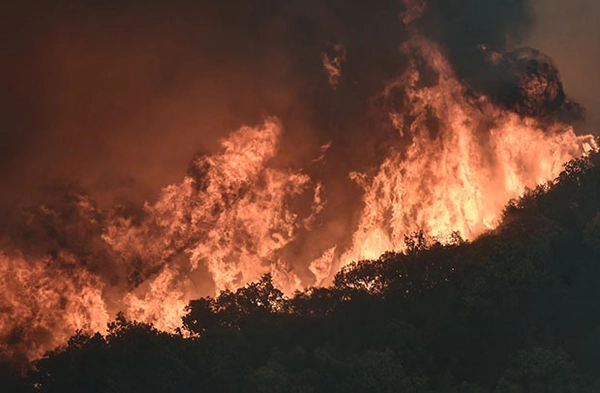 กษ. เอาจริงตัดสิทธิเกษตรกรเผาไร่นา 2 ปี ยกระดับแก้ไขปัญหาฝุ่น PM 2.5 