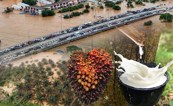 "น้ำท่วม"ทำยางพารา-ปาล์มเสียหาย 6.7 พันลบ. 