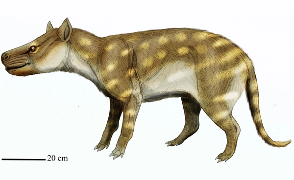 นักล่าปรับตัวสู้โลกร้อน เปลี่ยนจากกินเนื้อ เป็นแทะกระดูก