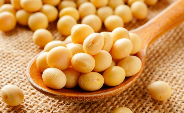 บราซิลส่งออกถั่วเหลืองทุบสถิติ คาดปีนี้ส่งออก 110 ล้านตัน จีนเป็นตลาดหลัก